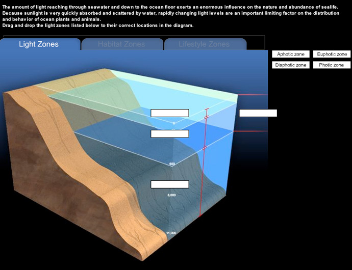 The amount of light reaching through seawater and down to the ocean floor exerts an enormous infliuence on the nature and abundance of sealife.  Because sunlight is very quickly absorbed and scattered by water, rapidly changing light levels are an important limiting factor on the distribution and behavior of ocean plants and animals.