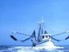 Credit: National Oceanic and Atmospheric Administration /Department of Commerce