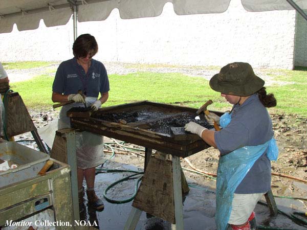 museum staff sifting