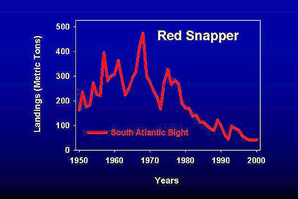 graph of declining red snapper catches