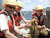 sorting through sargassum collected during a neuston net tow.