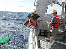 releasing an Otter trawl