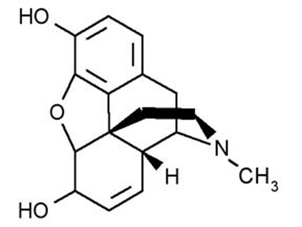 Morphine