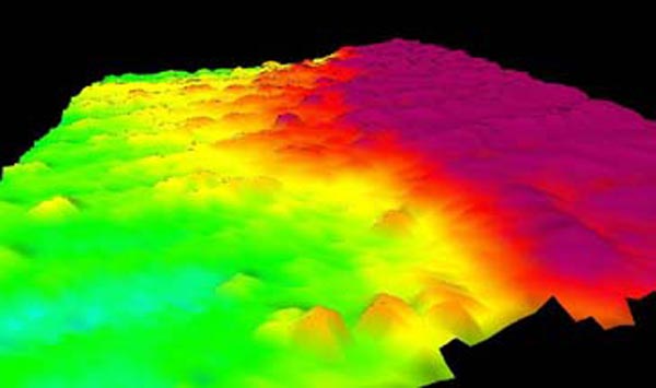 3-D multibeam image of the Northward view of “Forcepia-land” escarpment.