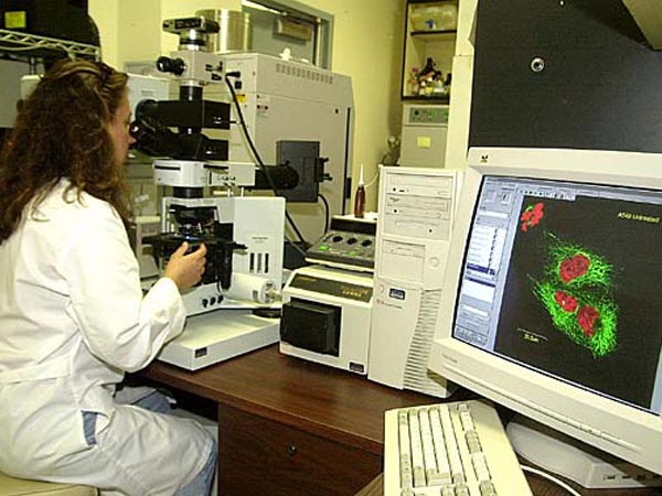 A typical confocal microscope system