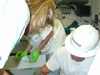 Scientist examine sample buckets after a dive