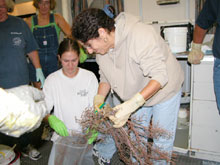 Priscilla Winder (left) and Shirley Pomponi (right) placing samples in plastic bags for preservation.