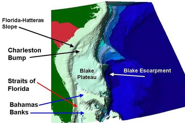 The Charleston Bump is a deep-water, rocky bottom feature on the Blake Plateau southeast of Charleston, South Carolina.