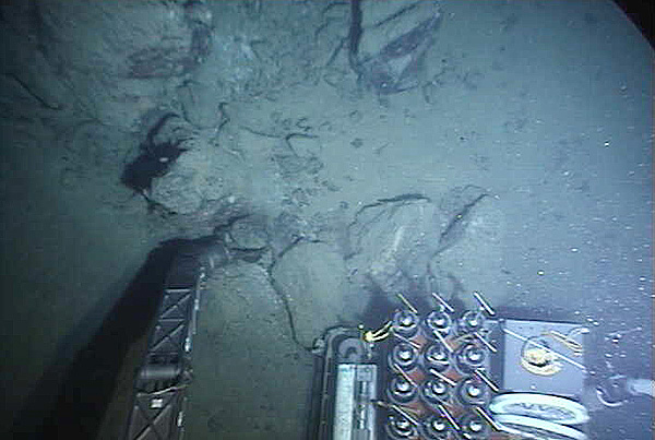 Alvin's manipulators collecting a rock at the Cape Fear Diapir