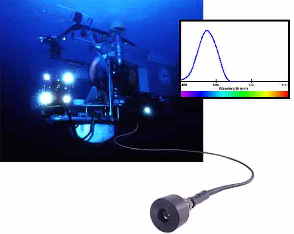 Light sticks are a well-known example of chemiluminescence