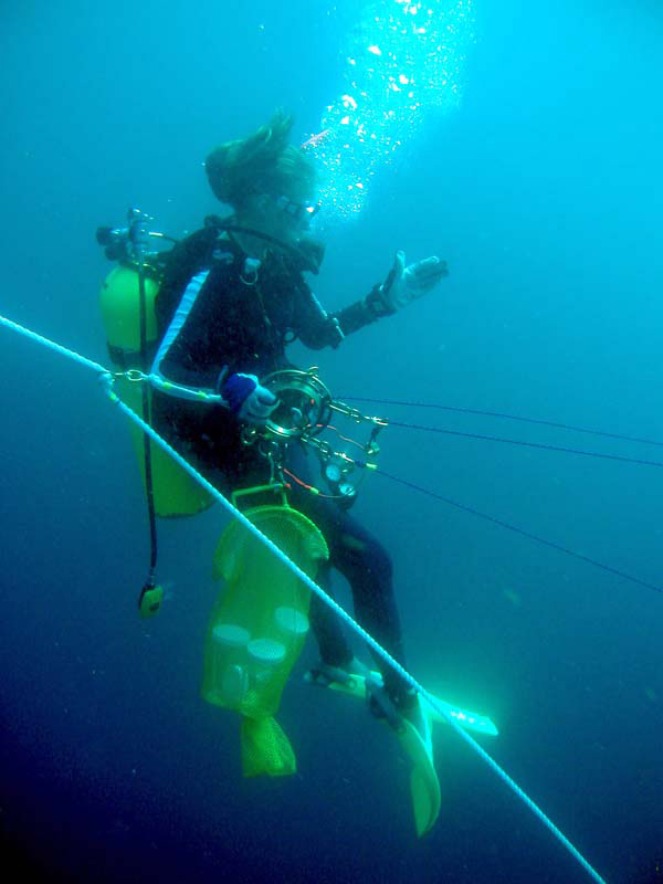 Scuba divers enter the mid-water realm to collect gelatinous samples