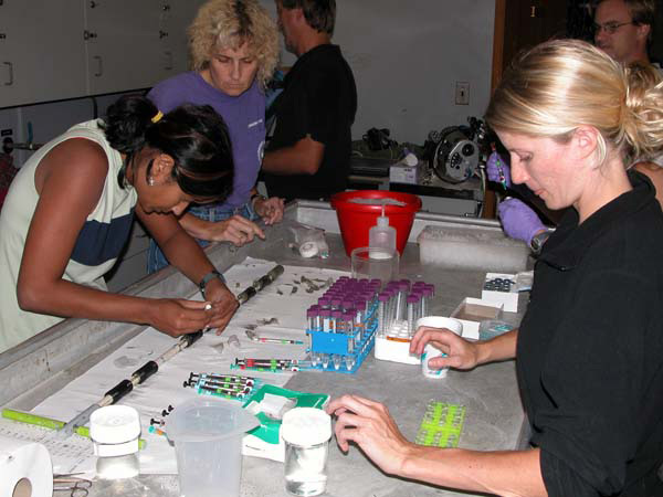 Members of the Deep Scope science party assist Sharmishtha to quickly process the sediment profile peepers. Each person was assigned a dedicated workstation to facilitate the process.