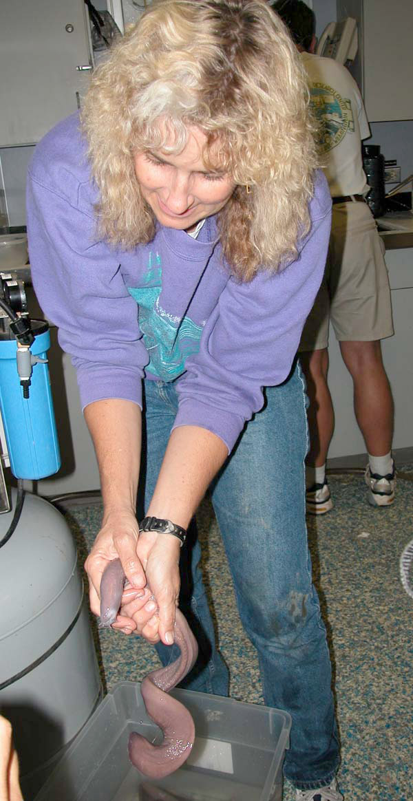 Dr. Frank holds a hagfish caught in one of the benthic traps. These fish appear to be prevalent at the brine pool.