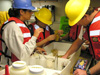 Examining the first Neuston net sample.