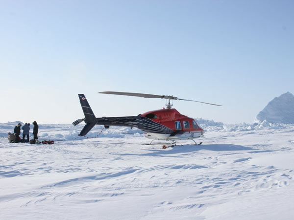 View a slide show of the movements of the narwhals that were tagged during the Tracking Narwhals in Greenland mission.