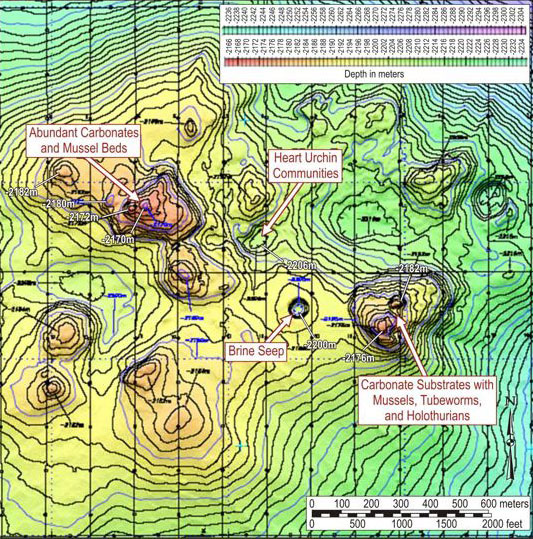 bathymetric map  