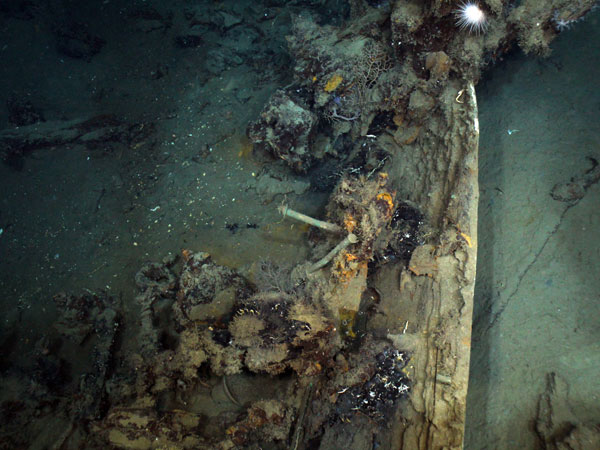 The bell lay nestled in among the remains of two deck beams. 