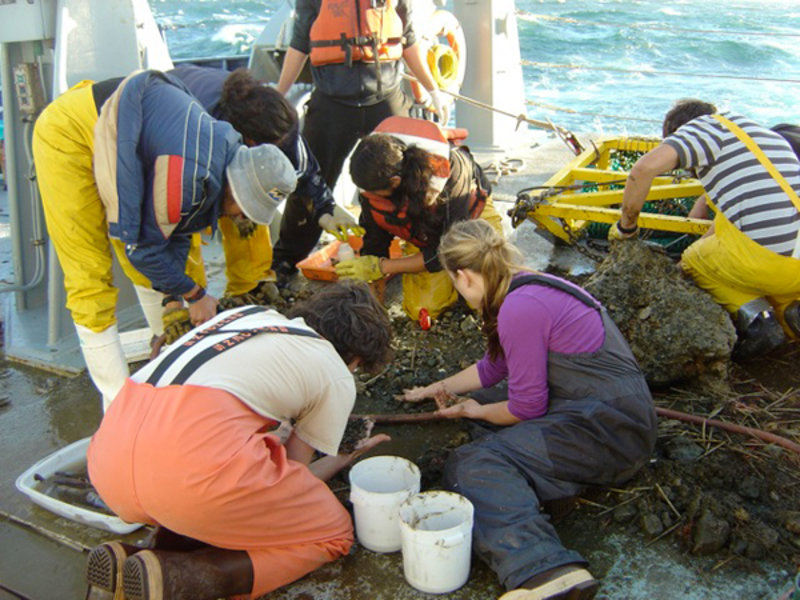 The last few days aboard the research vessel (R/V) Melville have (fortunately) yielded productive multicores and trawls.