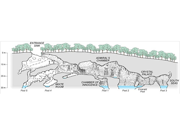 Profile view of Admiral’s Cave show large, collapse chambers and sea level pools characteristic of dry caves in Bermuda.