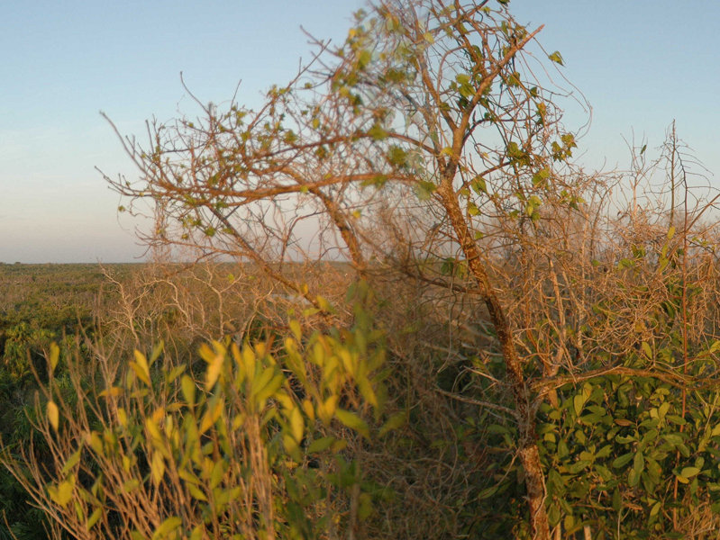 Vista Alegre Pano
