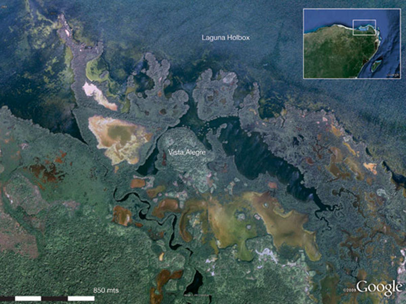 Aerial map showing a portion of Laguna Holbox where Vista Alegre is located.