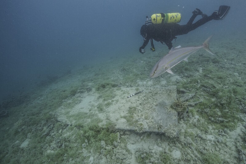 A diver investigates a magnetometer anomaly on the seafloor. Unfortunately, this was not a sunken aircraft but it still proves the magnetometer is doing its job!