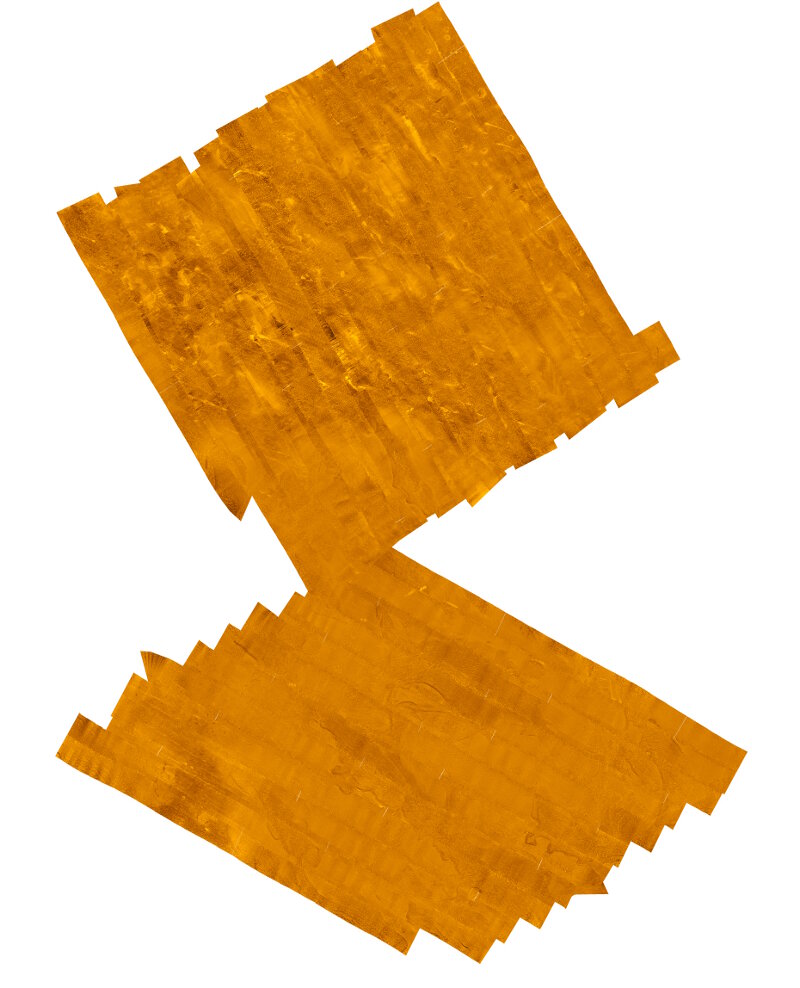 A preliminary side scan sonar mosaic composed of 24 individual survey lines. Across the lake’s bottom, numerous features can be seen, including geological formations and variable bottom types.