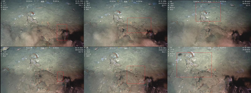 Video forward stills of gas release from seafloor carbonates when disturbed during the Student Explorations Around Southern California: Acoustics, Paleolandscapes, and Environments at Sea project. The red boxes in each frame indicate the location of bubbles which, due to the resolution and angle of the images, may be difficult to see. Bacterial mats are also captured in these stills.