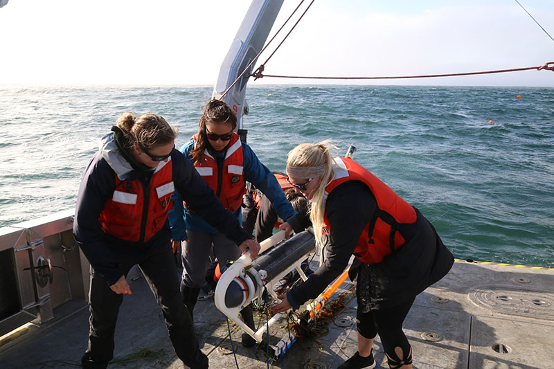 Researchers retrieve an electromagnetic receiver offshore of the Northern Channel Islands during a previous phase of the project.