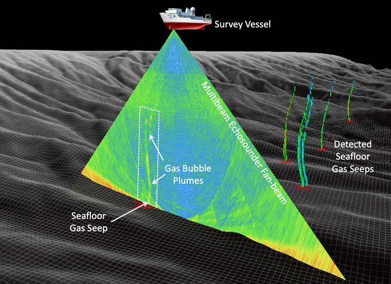 Seafloor gas seeps are detected through identification of associated bubble plumes in multibeam echosounder sonar imagery. These plumes generally appear as near vertical lines of elevated acoustic reflectivity. Imaged bubble plumes are traced to their point of intersection with the seafloor to establish the position of the source gas seeps.