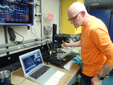 Allen Collins photographs a jellyfish (<i>Pantachogon</i> sp.) in the lab on Research Vessel <i>Sikuliaq</i> during the Exploring Pelagic Biodiversity of the Gulf of Alaska and the Impact of Its Seamounts expedition.