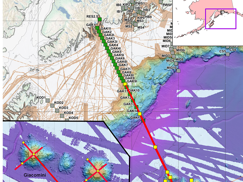 The primary focus of the Exploring Pelagic Biodiversity of the Gulf of Alaska and the Impact of Its Seamounts expedition was on life around seamounts, but the team also explored the waters at the edge of the continental shelf and over the abyssal plain. The planned net sampling stations are in yellow, and the proposed tracks for theIn-Situ Ichthyoplankton Imaging System Deep-Focus Particle Imager (ISIIS-DPI) are in red.