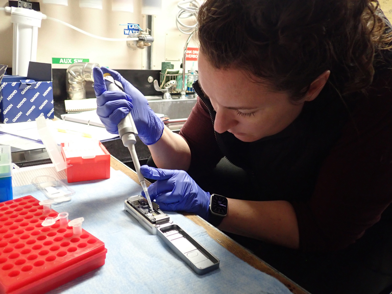 Jennifer Questel loads DNA onto a portable DNA sequencer (MinION flow cell). This allowed scientists to obtain genetic data from freshly caught zooplankton during the Exploring Pelagic Biodiversity of the Gulf of Alaska and the Impact of Its Seamounts expedition.