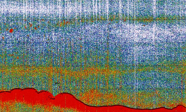 Topography of the "The Point"