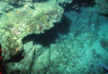 Outcrop along Savannah Scarp