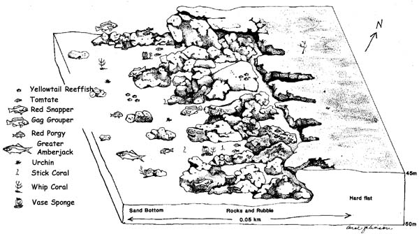 Shelf-edge Reef