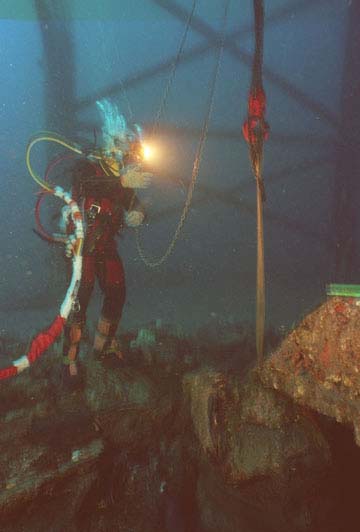 diver on the Monitor