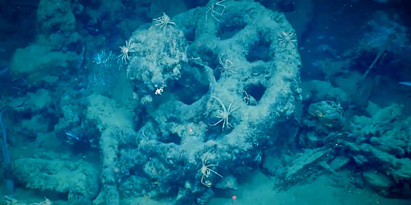 Photogrammetry at BOEM Wreck Site 15377