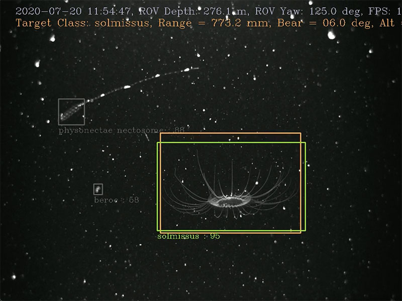 Demonstration of an artificial intelligence-assisted underwater robot during animal tracking trials.