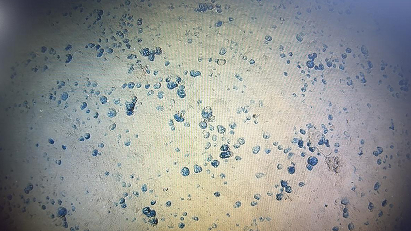Close-up of a textured beige surface with scattered blue specks.