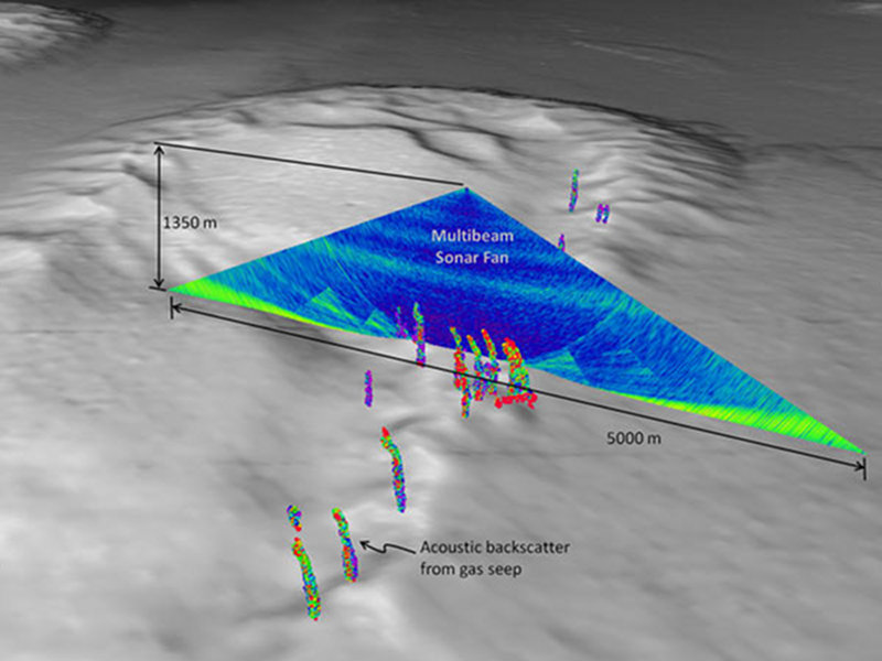 A view of the multibeam sonar water column backscatter data used to detect gas seeps.