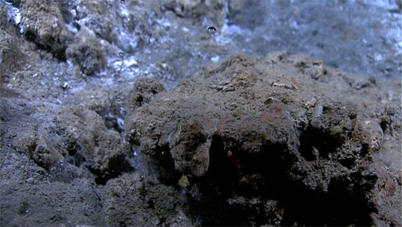 Bubbles from a gas seep.