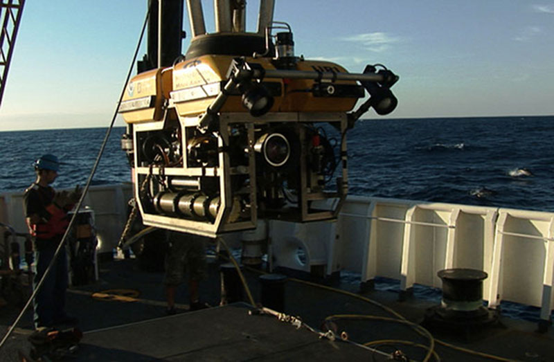 Little Herc’s powerful high-definition camera systems yielded unprecedented images of coral ecosystems in the vicinity of Deepwater Horizon.