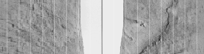 Side scan sonar image of an F6F Hellcat fighter plane (lower right) off Pearl Harbor, Oahu.