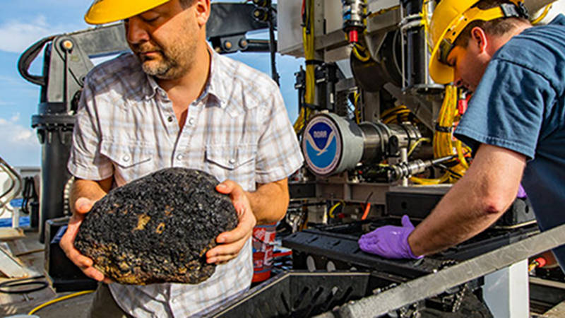 If you’ve tuned in to the live video from NOAA Ship Okeanos Explorer, chances are you’ve seen remotely operated vehicle Deep Discoverer (D2) collect geological and biological samples from the seafloor. Ever wonder what happens to those samples after they are collected?