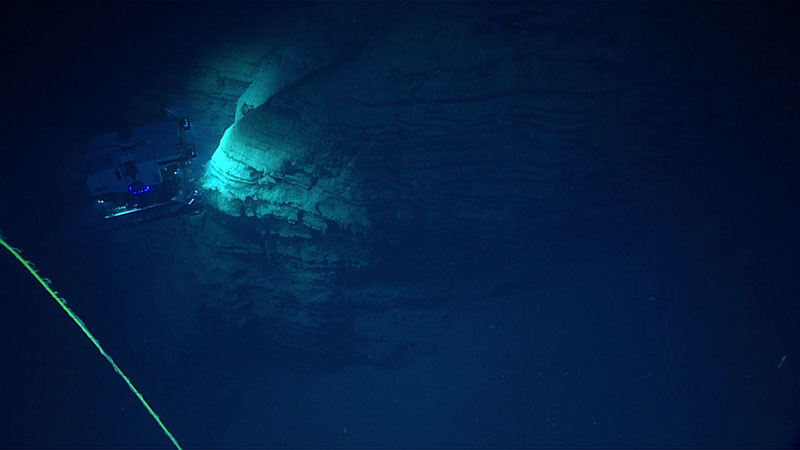 During Dive 4, we explored an amphitheater-like feature at 450-564 meters (1,476-1,850 feet) depth, which included dramatic vertical walls that were good habitat for a variety of corals and sponges.