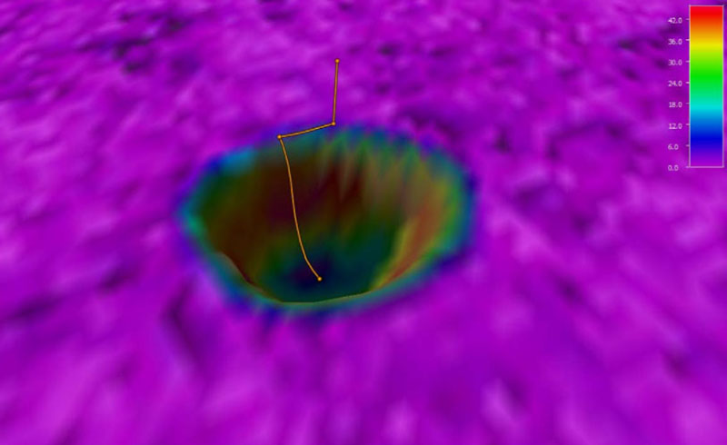 During Dive 08 of Windows to the Deep 2021, we explored a site the team dubbed “Sinkhole.” Why “Sinkhole”? Check out the bathymetry — we descended into the depression, which drops 60 meters (197 feet) down from the surrounding flats on the eastern edge of the Blake Plateau.