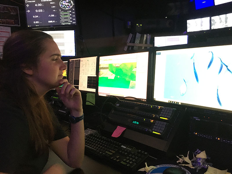 NOAA Ocean Exploration's mapping expeditions produce beautiful depictions of the seafloor, but provide limited information about ocean life. We're looking to change this. During the 2022 Puerto Rico Mapping and Deep-Sea Camera Demonstration, we're exploring the possibility of adding deep-sea cameras to our suite of data collection tools for mapping expeditions. Here, Cassie Ferrante, explorer-in-training, searches for marine life in the images collected by a deep-sea camera.