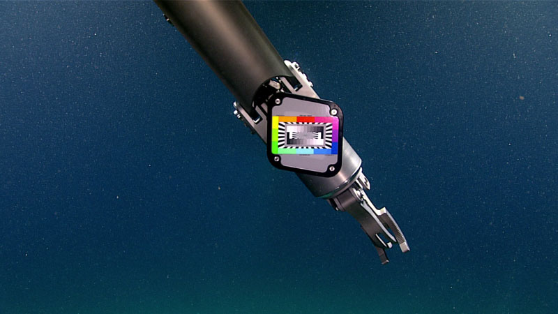 At the start of Dive 02 of the 2023 Shakedown + EXPRESS West Coast Exploration expedition, Global Foundation for Ocean Exploration engineers used a color chip chart on remotely operated vehicle (ROV) Deep Discoverer’s left manipulator arm to precisely calibrate the primary ROV cameras for color correction, providing viewers at home with accurate colors of deep-sea life. Learn more about color correction in the deep ocean.