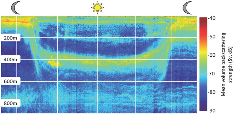 Observing Life in the Deep Scattering Layers of the Pelagic Realm